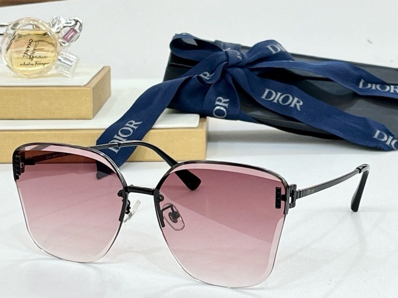 DIOR Sunglasses 105